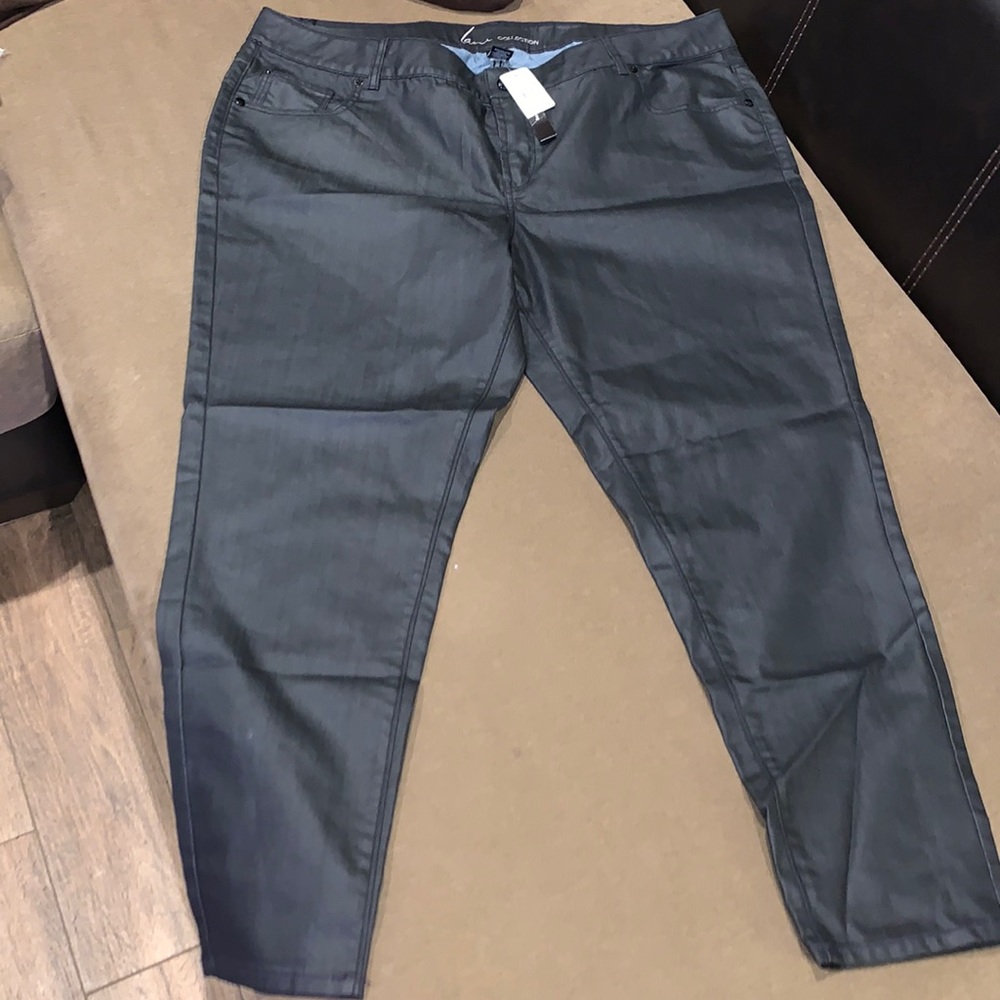 Lane Collection Shiny Jeans (NWT) (24)